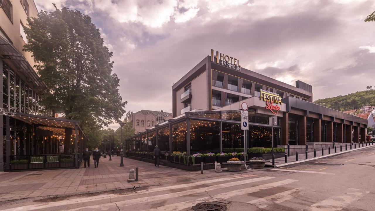 Hammeum Hotel Prokuplje Exteriér fotografie